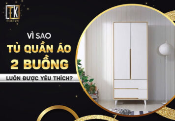 Vì sao tủ quần áo 2 buồng luôn được yêu thích?